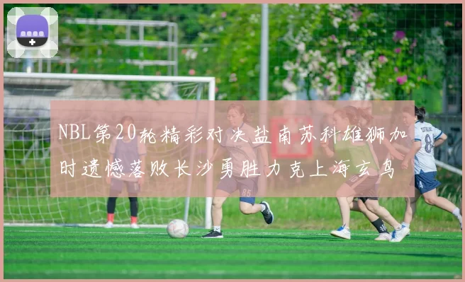 NBL第20轮精彩对决盐南苏科雄狮加时遗憾落败长沙勇胜力克上海玄鸟